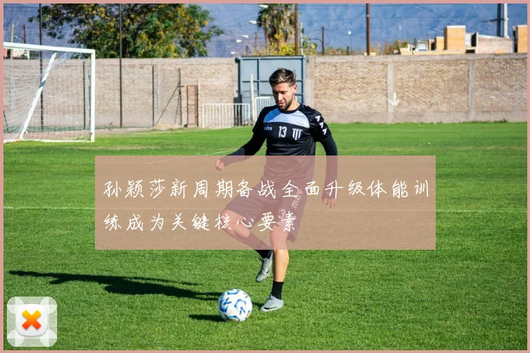 孙颖莎新周期备战全面升级体能训练成为关键核心要素